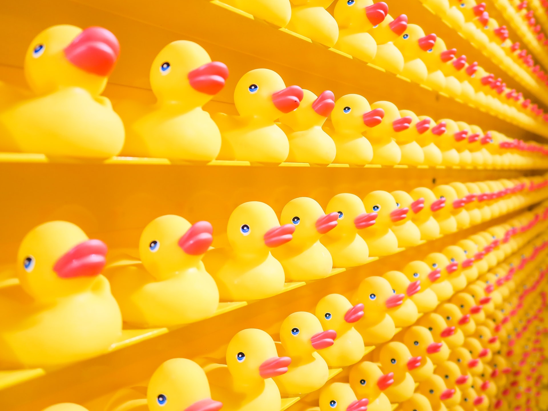 Ducks in a row